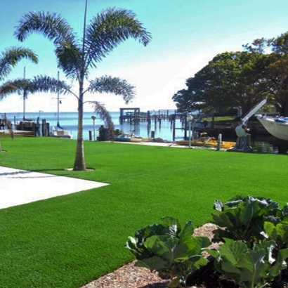 Fake Grass Carpet Arlington, Wisconsin Home And Garden, Backyard Ideas