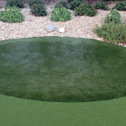 Fake Grass Carpet Auburndale, Wisconsin Putting Green Turf