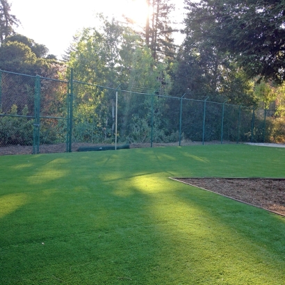 Fake Grass Carpet Footville, Wisconsin Design Ideas, Parks