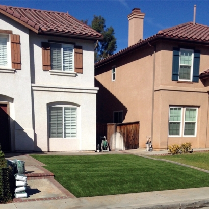 Fake Grass Cottage Grove, Wisconsin Garden Ideas, Front Yard Landscaping