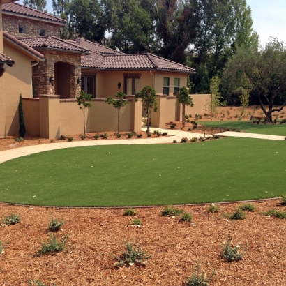 Fake Grass Lake Ripley, Wisconsin Design Ideas, Front Yard Ideas