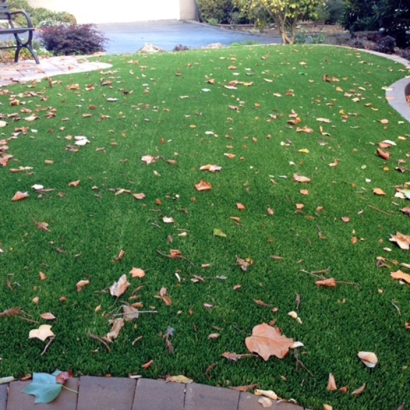 Fake Grass Little Kohler, Wisconsin Design Ideas, Front Yard Landscaping