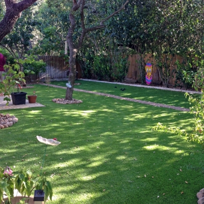 Fake Grass Luxemburg, Wisconsin Rooftop, Backyard Designs
