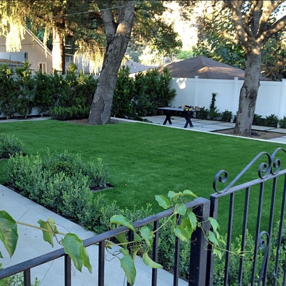 Fake Grass Mount Calvary, Wisconsin Design Ideas, Landscaping Ideas For Front Yard
