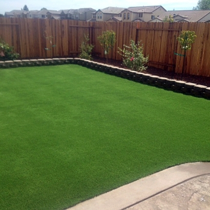 Fake Grass Racine, Wisconsin Landscape Design, Beautiful Backyards