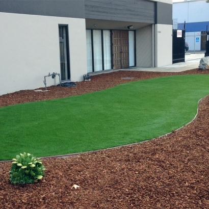 Fake Grass Watertown, Wisconsin Landscape Design, Commercial Landscape