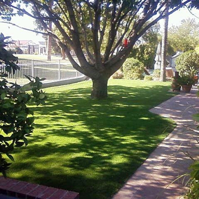 Fake Grass Weyauwega, Wisconsin Lawn And Landscape