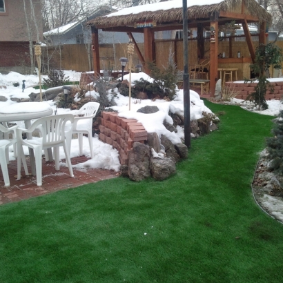 Fake Lawn Big Bend, Wisconsin City Landscape, Backyard Makeover