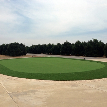 Fake Lawn Cazenovia, Wisconsin Indoor Putting Green, Landscaping Ideas For Front Yard