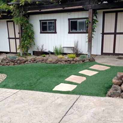 Fake Lawn Knowlton, Wisconsin Gardeners, Front Yard Landscaping Ideas