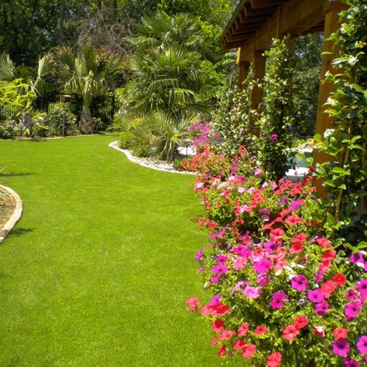Fake Lawn Pella, Wisconsin Landscaping, Backyard Landscaping