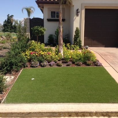 Fake Turf Blanchardville, Wisconsin Home And Garden, Small Front Yard Landscaping