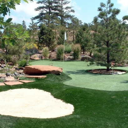 Fake Turf Collins, Wisconsin Putting Greens, Backyard