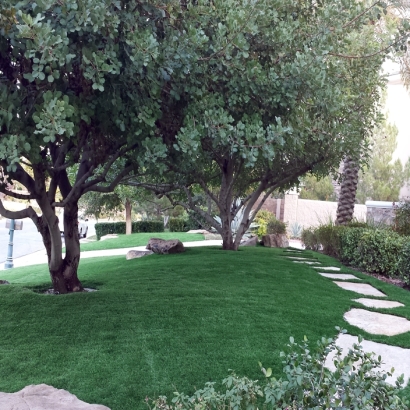 Fake Turf Greenleaf, Wisconsin Home And Garden, Small Front Yard Landscaping