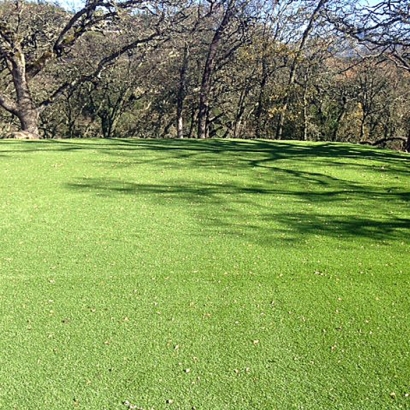 Fake Turf Lodi, Wisconsin Garden Ideas, Parks