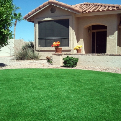 Fake Turf Oak Creek, Wisconsin Design Ideas, Landscaping Ideas For Front Yard