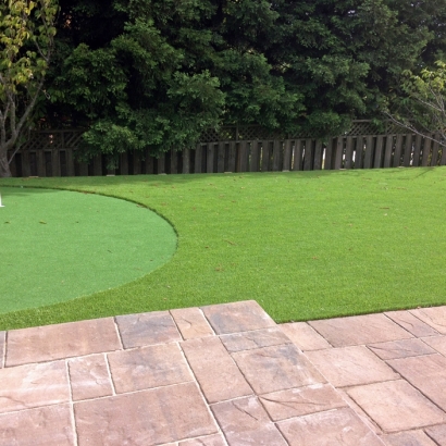 Fake Turf Somers, Wisconsin Artificial Putting Greens, Backyard Landscaping Ideas