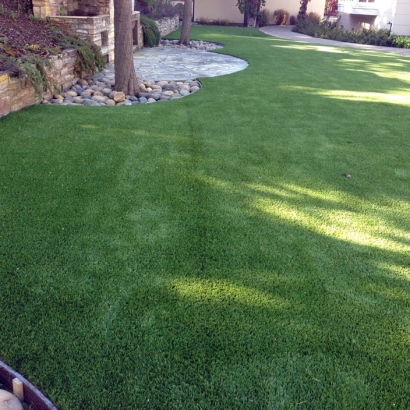 Faux Grass New Berlin, Wisconsin Dog Hospital, Backyard Makeover