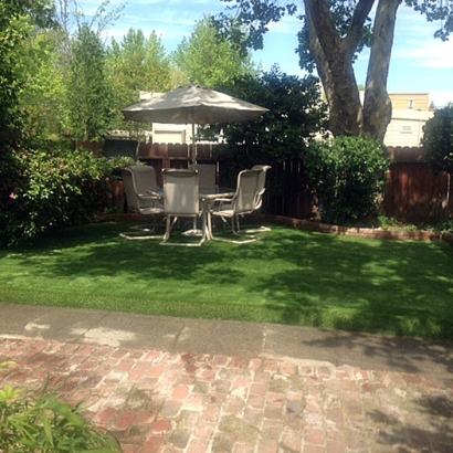 Faux Grass Okauchee Lake, Wisconsin Rooftop, Backyard Garden Ideas