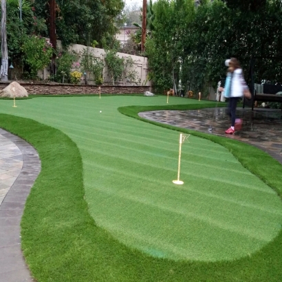 Faux Grass Wilmot, Wisconsin Best Indoor Putting Green, Backyard Makeover