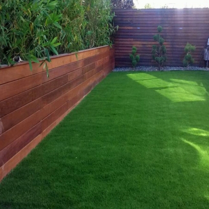 Grass Carpet Belleville, Wisconsin Backyard Deck Ideas, Beautiful Backyards