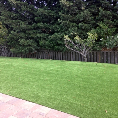 Grass Carpet Boscobel, Wisconsin Lawn And Landscape, Backyard Ideas
