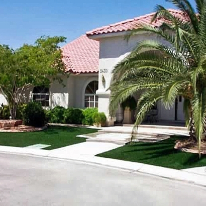 Grass Carpet Cleveland, Wisconsin Gardeners, Front Yard Ideas
