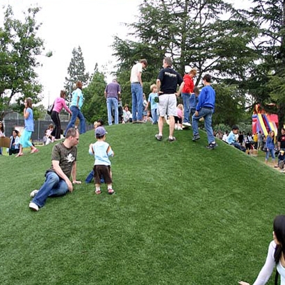 Grass Carpet Cobb, Wisconsin Roof Top, Parks