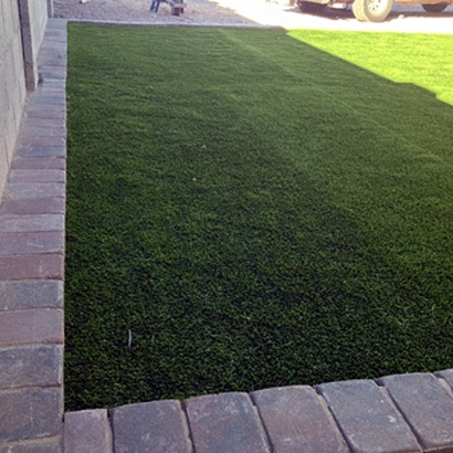 Grass Carpet De Forest, Wisconsin Rooftop, Front Yard Design