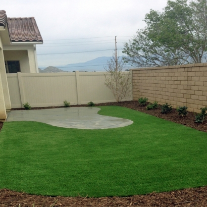 Grass Carpet Greenleaf, Wisconsin Paver Patio, Backyard