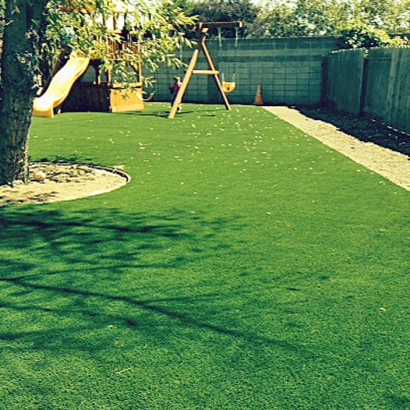 Grass Carpet Howard, Wisconsin Landscaping Business, Backyard Landscaping