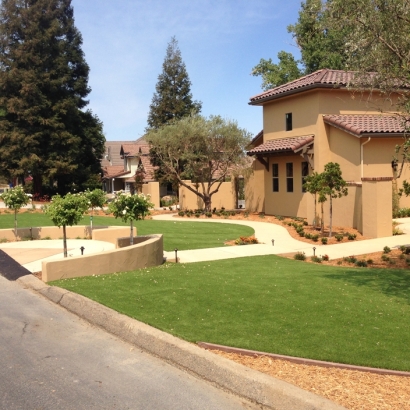 Grass Carpet Janesville, Wisconsin Lawn And Landscape, Front Yard Design