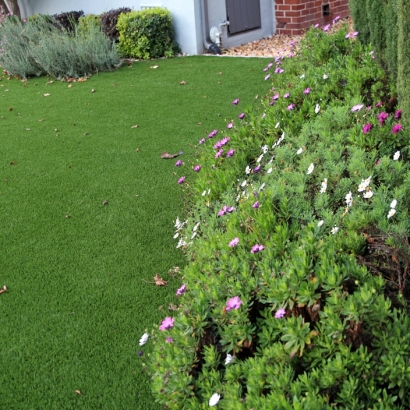 Grass Carpet Janesville, Wisconsin Lawns, Front Yard Landscaping Ideas