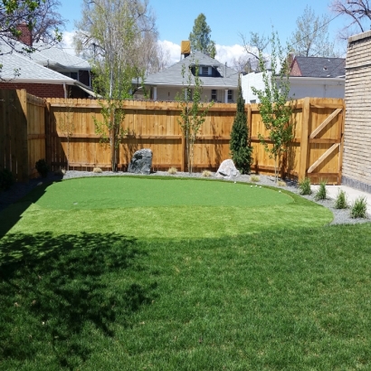 Grass Carpet Lake Geneva, Wisconsin Putting Green Carpet, Backyard Landscape Ideas