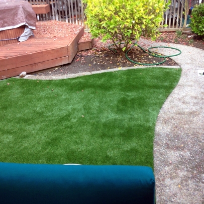 Grass Carpet Lomira, Wisconsin Garden Ideas, Backyard Design