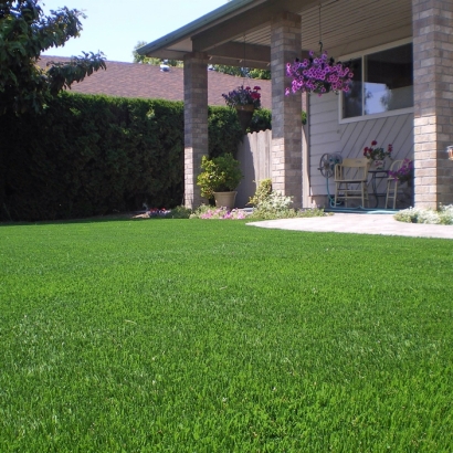 Grass Carpet Middleton, Wisconsin Backyard Deck Ideas, Front Yard Ideas