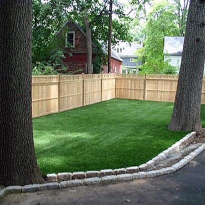 Grass Carpet Navarino, Wisconsin Grass For Dogs, Backyard