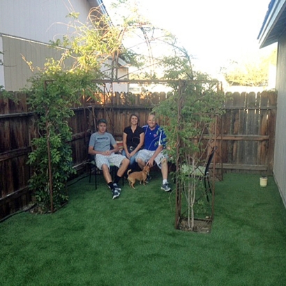 Grass Carpet North Prairie, Wisconsin Rooftop, Dogs