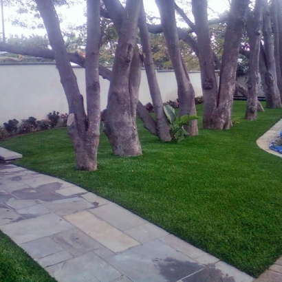 Grass Carpet Shawano, Wisconsin City Landscape, Front Yard Landscape Ideas