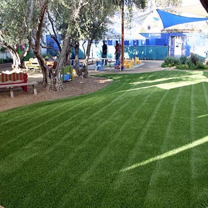 Grass Installation Green Valley, Wisconsin Backyard Deck Ideas, Commercial Landscape