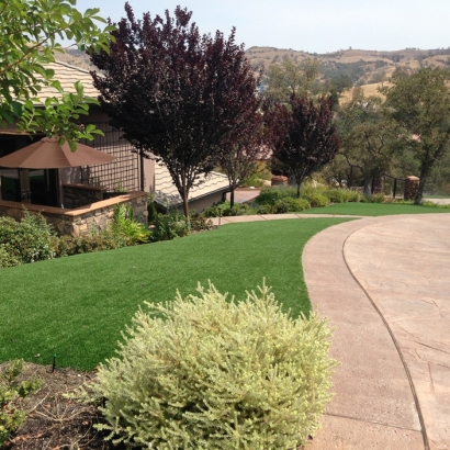 Grass Installation Rosendale, Wisconsin Backyard Playground, Front Yard Design