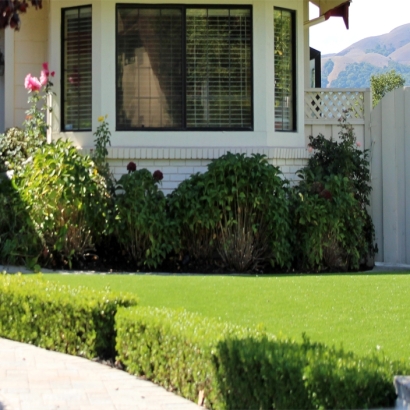 Grass Turf Aniwa, Wisconsin Roof Top, Front Yard Landscape Ideas