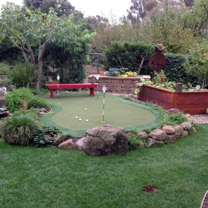 Grass Turf Brookfield, Wisconsin Putting Green, Backyard