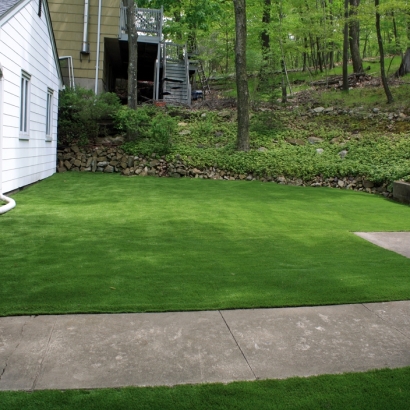 Grass Turf Combined Locks, Wisconsin Design Ideas, Front Yard Landscaping Ideas