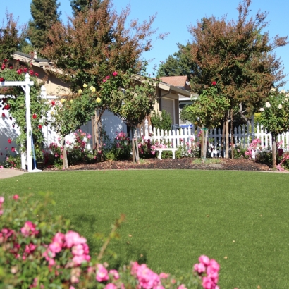 Grass Turf Franklin, Wisconsin Garden Ideas, Front Yard