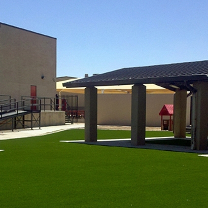Grass Turf Kohler, Wisconsin Gardeners, Commercial Landscape