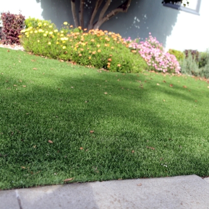 Grass Turf Mayville, Wisconsin Lawn And Landscape, Landscaping Ideas For Front Yard