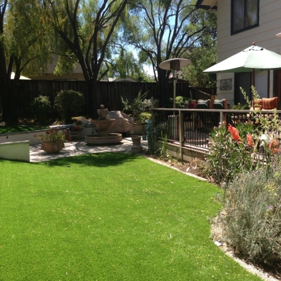 Grass Turf Sun Prairie, Wisconsin City Landscape, Backyard Landscaping Ideas