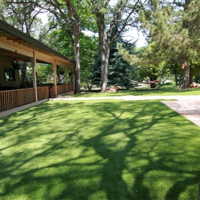 Green Lawn Appleton, Wisconsin Dog Running, Backyard Landscaping