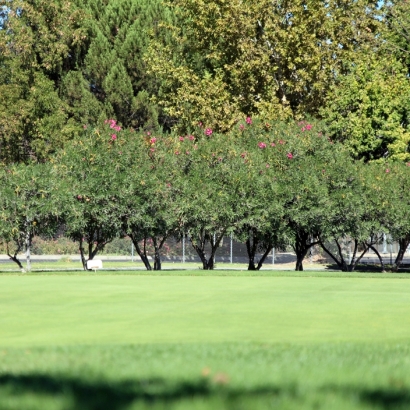 How To Install Artificial Grass Lake Wazeecha, Wisconsin Artificial Putting Greens